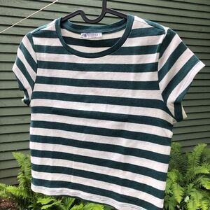 Zara stripe crop top